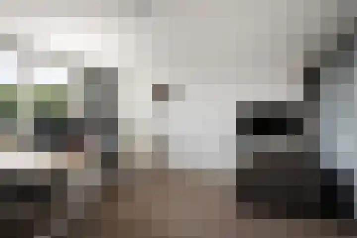 Johan Huizingastraat 53 Rotterdam thumbnail 20