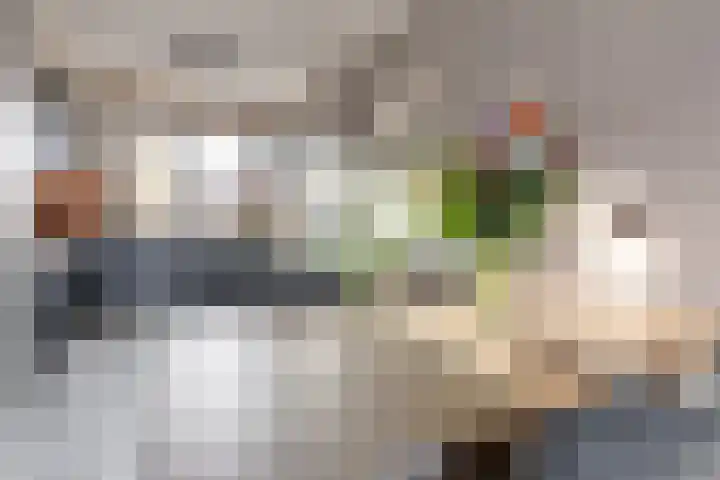 Johan Huizingastraat 57 Rotterdam thumbnail 11