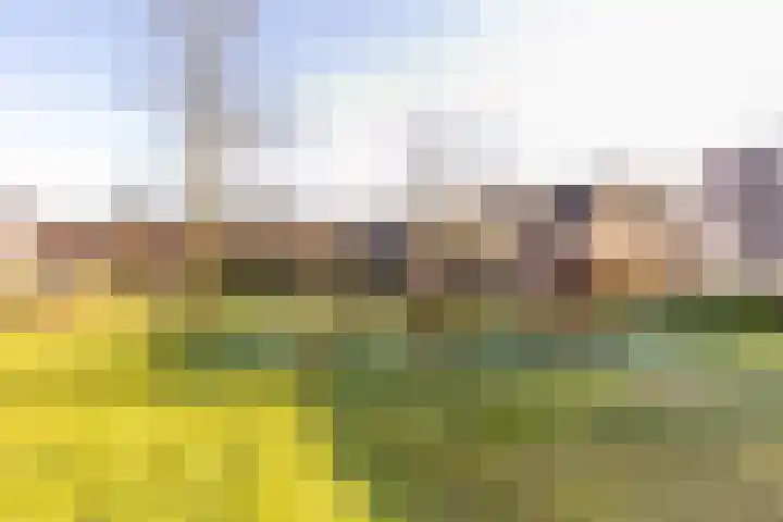 Johan Huizingastraat 57 Rotterdam thumbnail 33