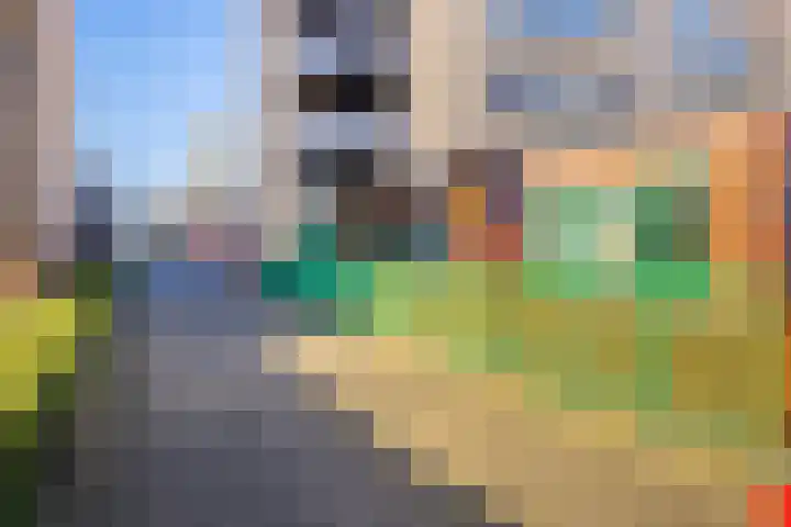 Johan Huizingastraat 57 Rotterdam thumbnail 37