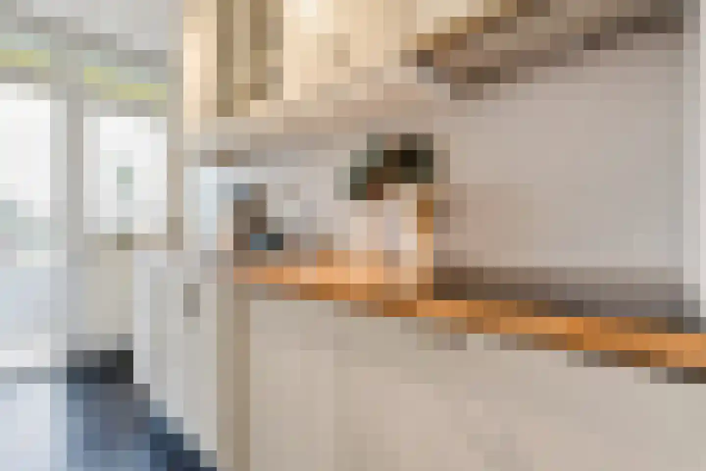 Johan in 't Veltstraat 18 Rotterdam thumbnail 18