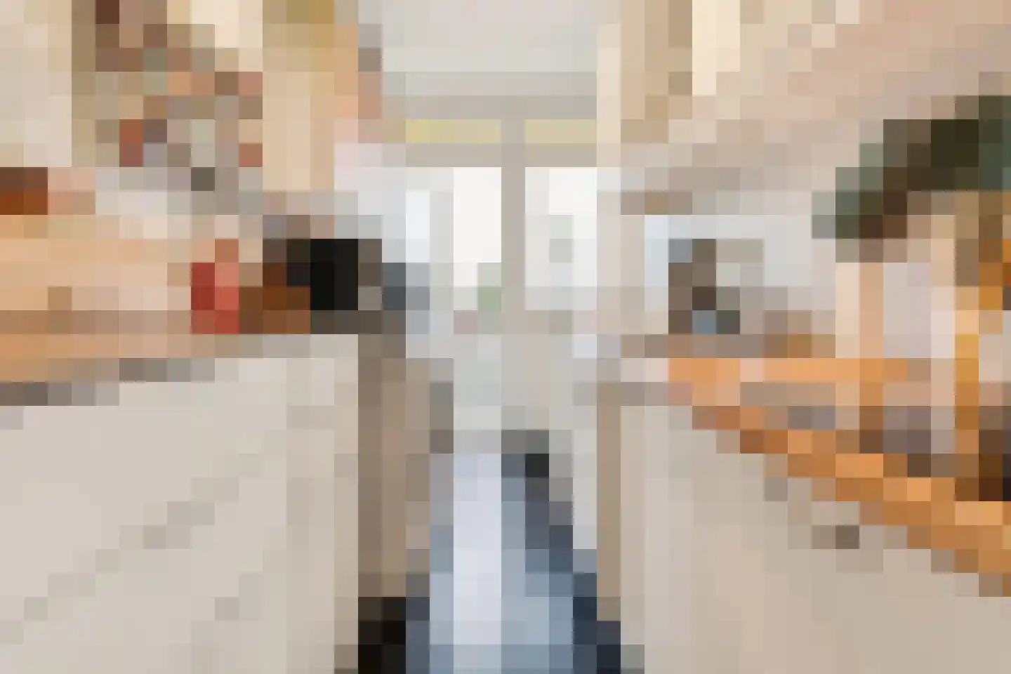 Johan in 't Veltstraat 18 Rotterdam thumbnail 19