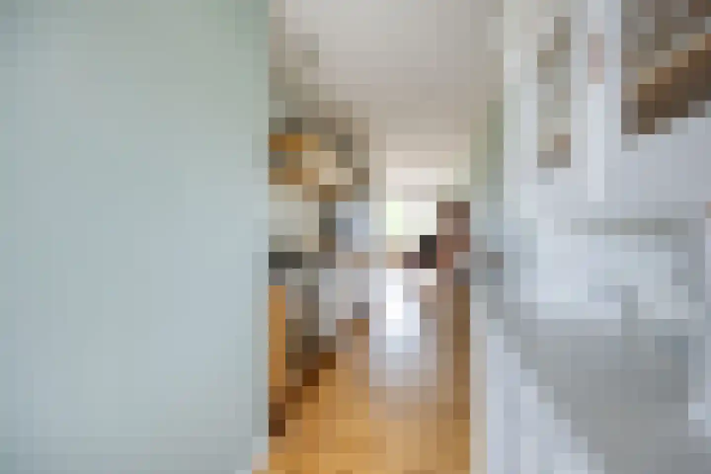 Johan Jongkindstraat 184 Amsterdam thumbnail 8