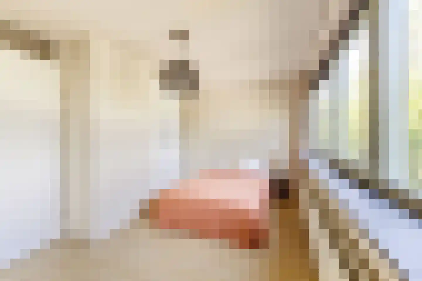 Johan Jongkindstraat 202 Amsterdam thumbnail 15