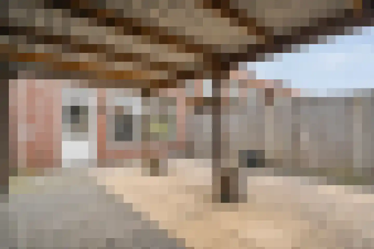Johan Jongkindstraat 49 Almelo thumbnail 29