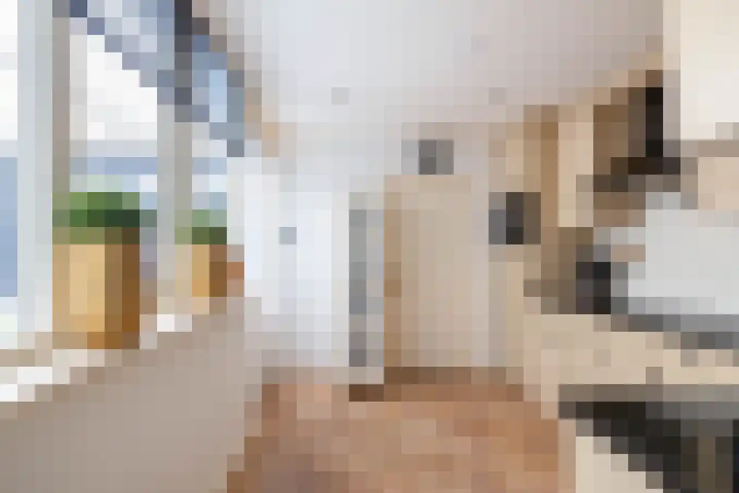 Johan Jongkindstraat 5 Almelo thumbnail 10