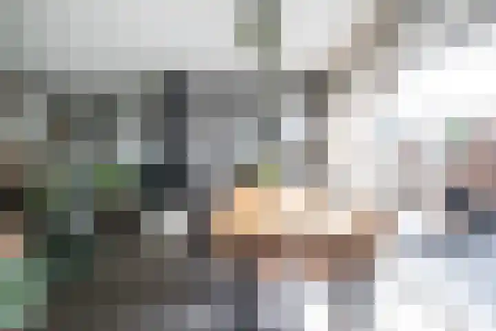 Johan Jongkindstraat 9 Almelo thumbnail 12