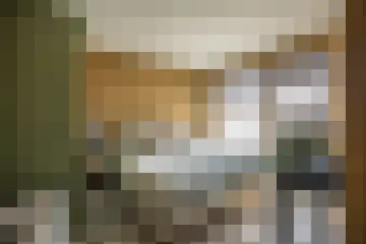 Johan Jongkindstraat 9 Almelo thumbnail 17