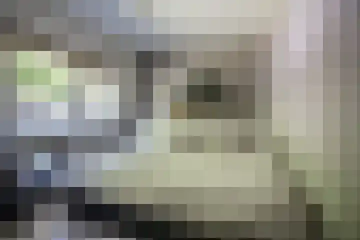 Johan Jongkindstraat 9 Almelo thumbnail 22