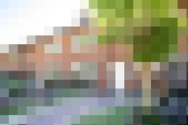 Johan Jongkindstraat 9 Almelo thumbnail 33