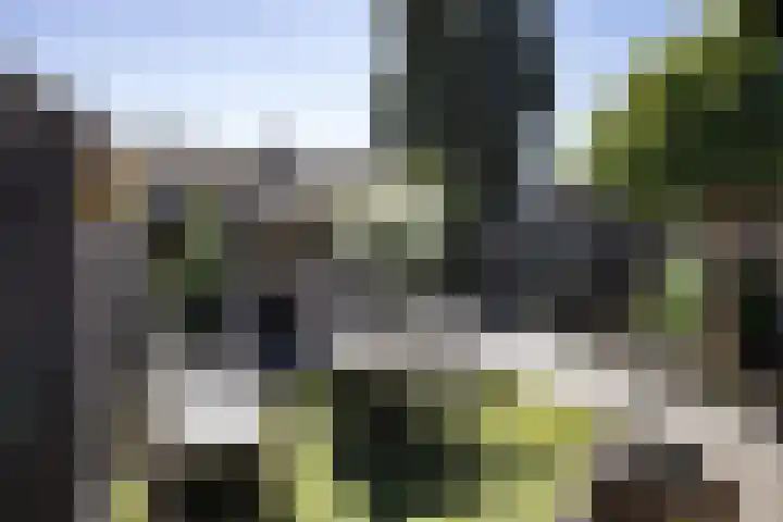 Johan Jongkindstraat 9 Almelo thumbnail 4