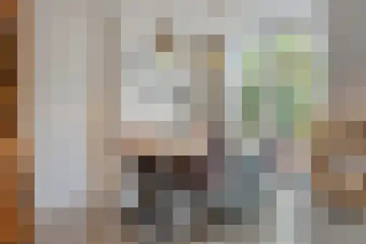 Johan Jongkindstraat 9 Woerden thumbnail 10