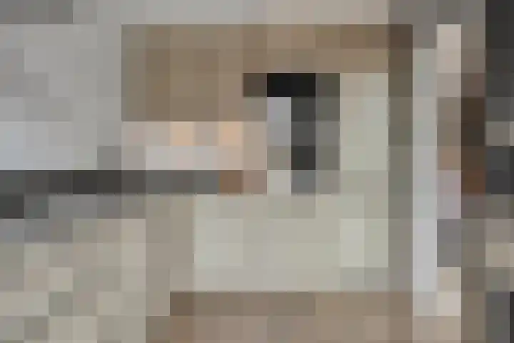 Johan Jongkindstraat 9 Woerden thumbnail 4