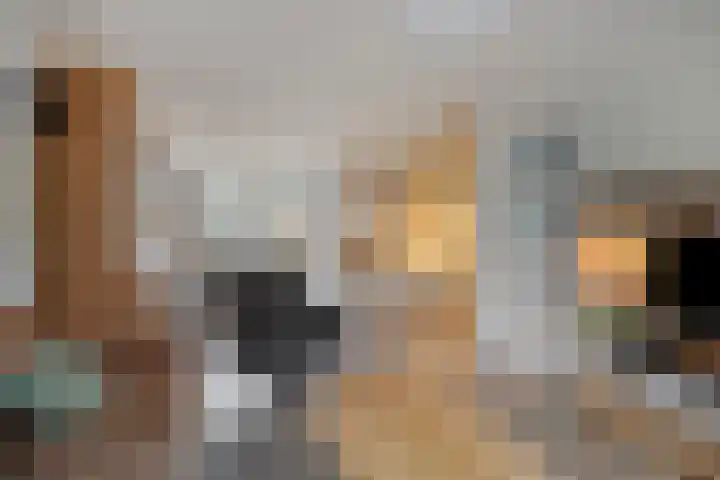 Johan Jongkindstraat 9 Woerden thumbnail 5