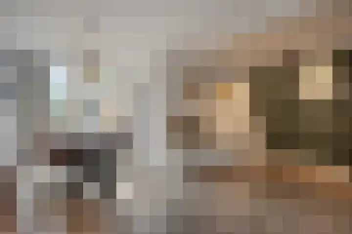 Johan Jongkindstraat 9 Woerden thumbnail 6