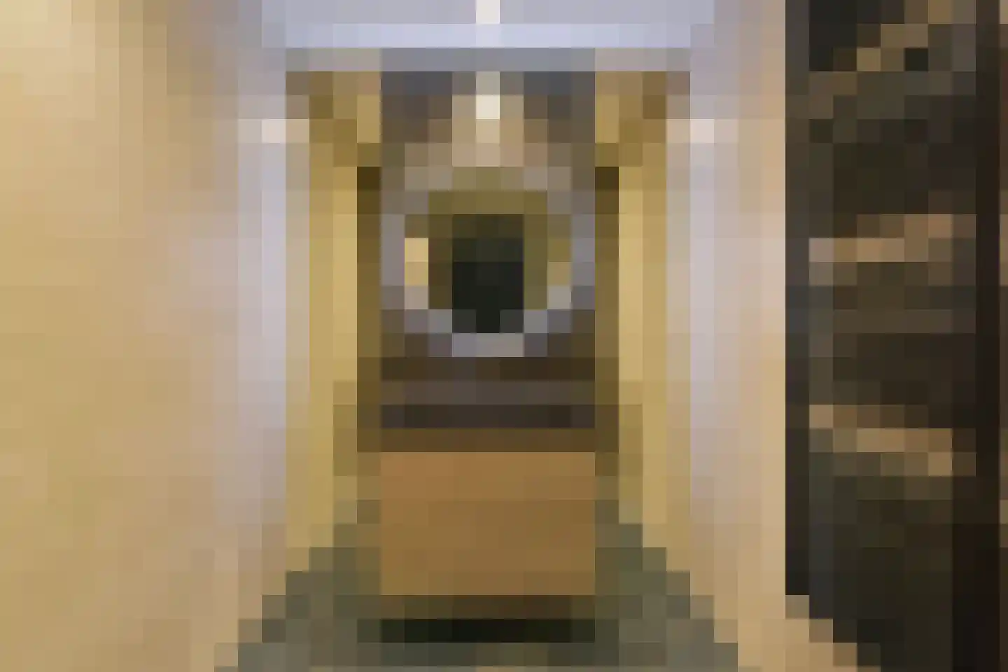 Johan Kerkmeijerstraat 8 Hoorn thumbnail 25