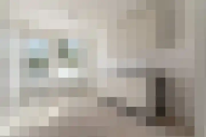 Johan Kernstraat 12 Amsterdam thumbnail 6