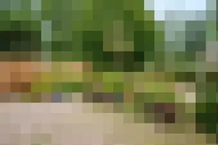 Johan Kievietstraat 10 Wageningen thumbnail 21