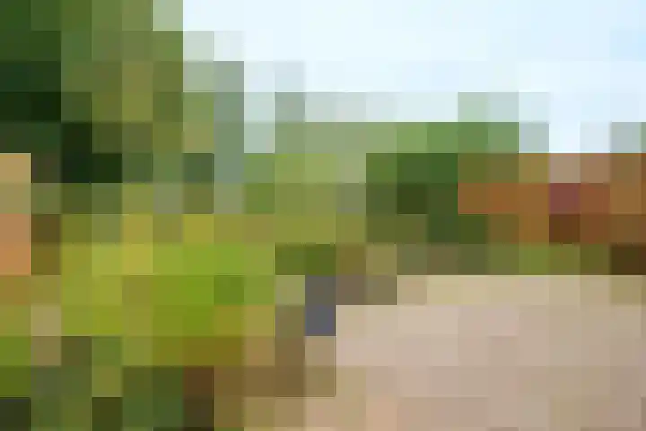 Johan Kievietstraat 10 Wageningen thumbnail 22