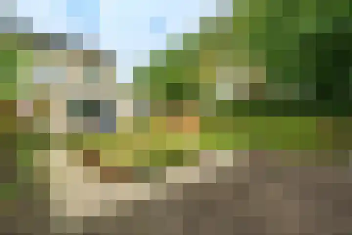 Johan Kievietstraat 10 Wageningen thumbnail 23