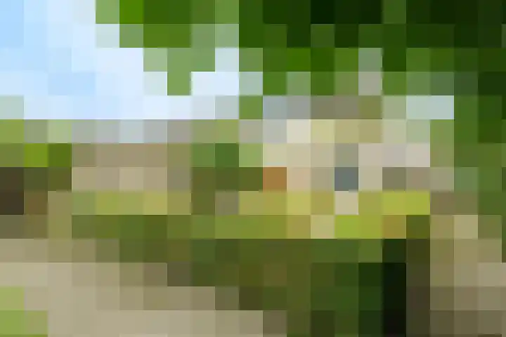 Johan Kievietstraat 10 Wageningen thumbnail 24