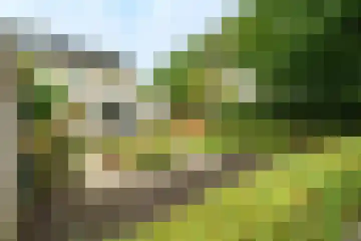 Johan Kievietstraat 10 Wageningen thumbnail 25