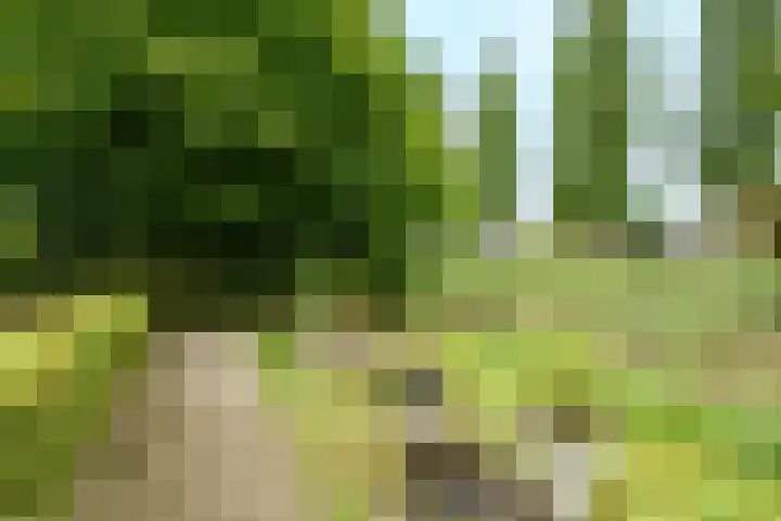 Johan Kievietstraat 10 Wageningen thumbnail 26