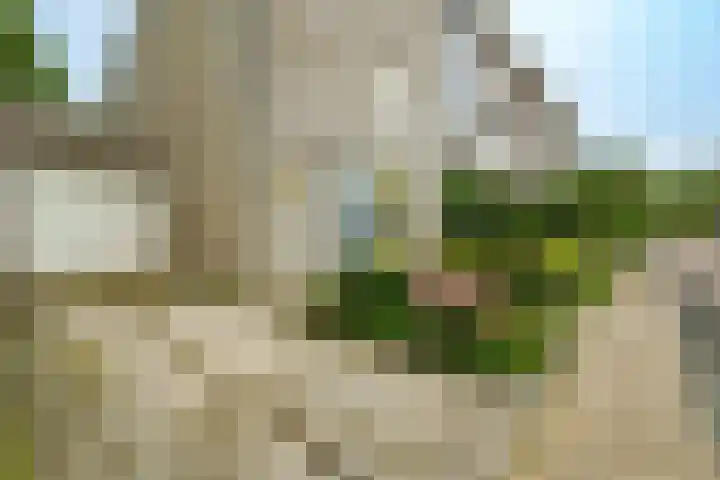 Johan Kievietstraat 10 Wageningen thumbnail 4