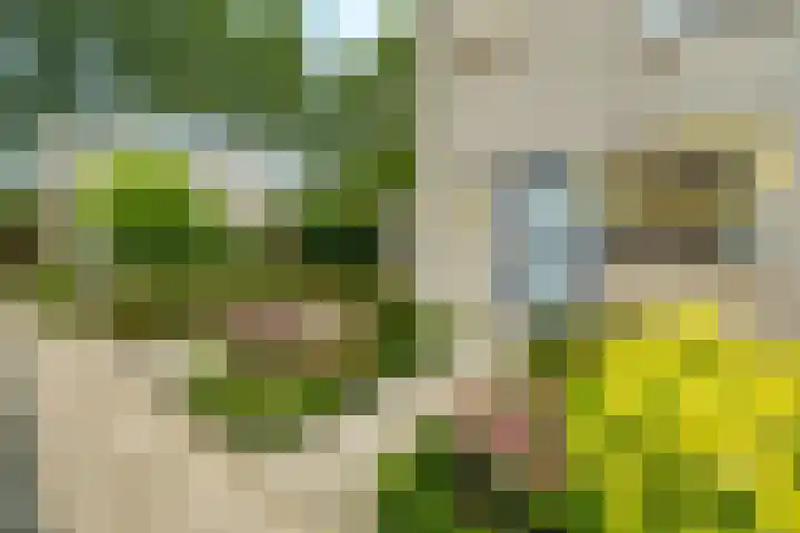 Johan Kievietstraat 10 Wageningen thumbnail 5