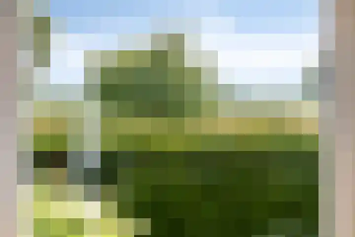 Johan Kleinendreef 2 Sittard thumbnail 26