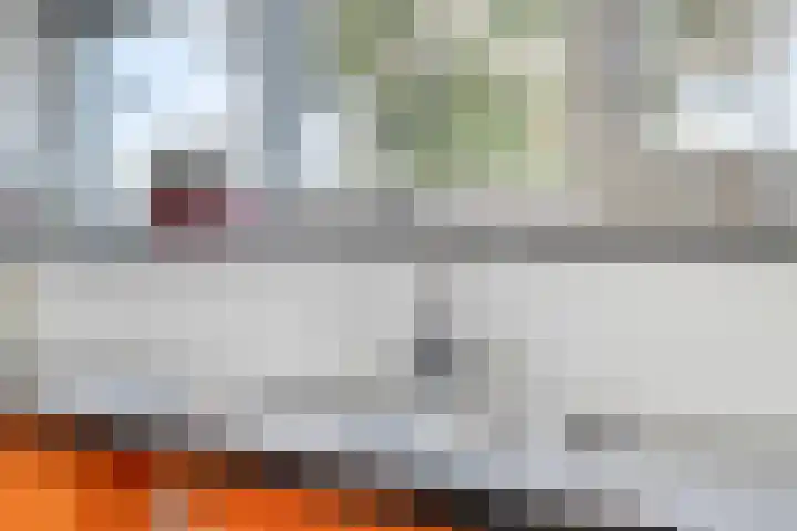 Johan Kleinendreef 2 Sittard thumbnail 31