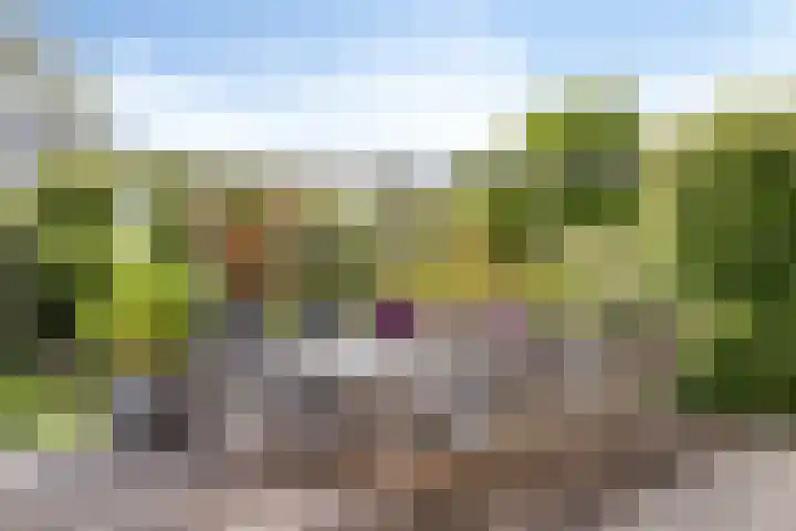 Johan Kleinendreef 2 Sittard thumbnail 79