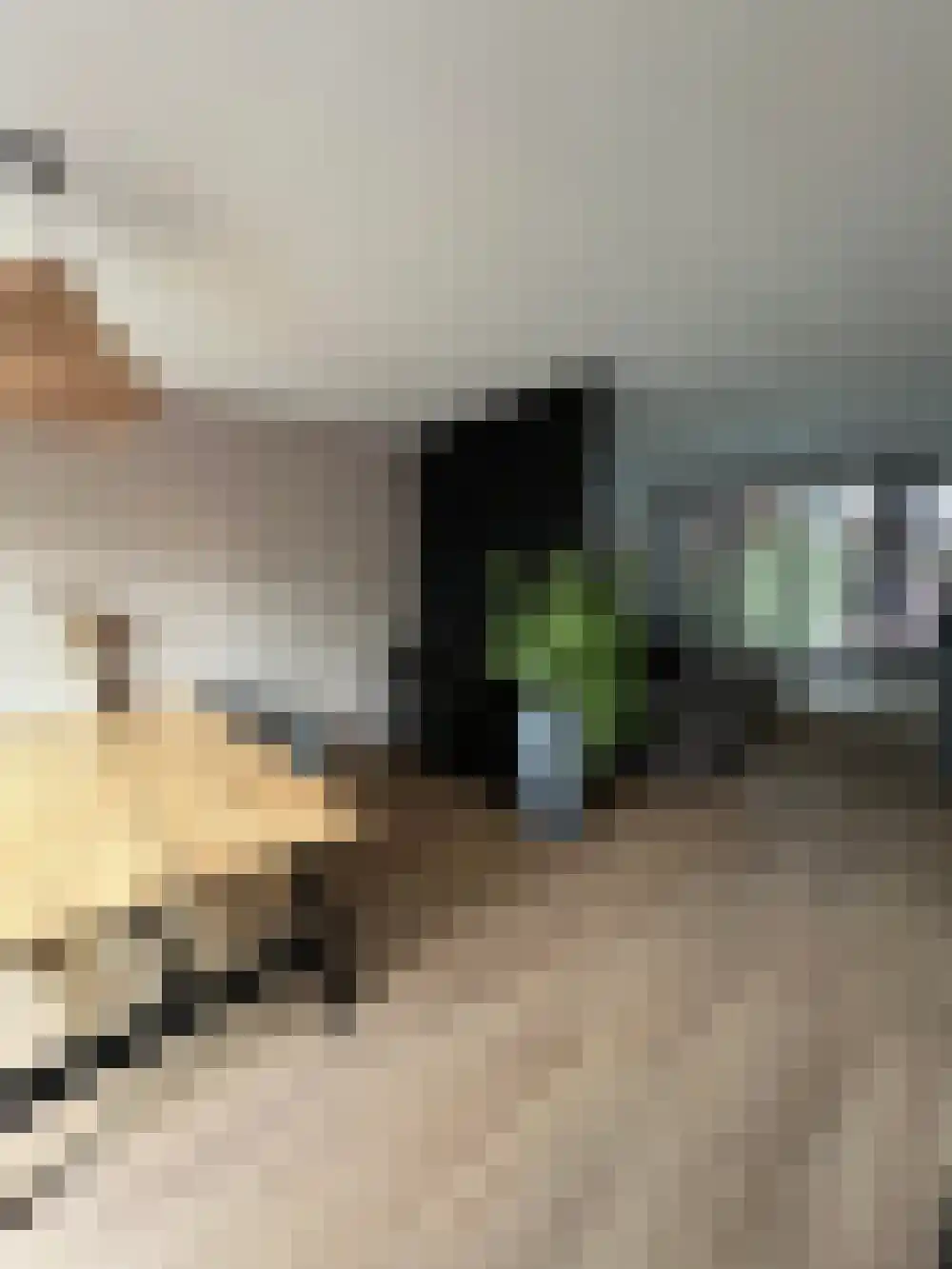 Johan Lesagestraat 1 Middelburg thumbnail 11