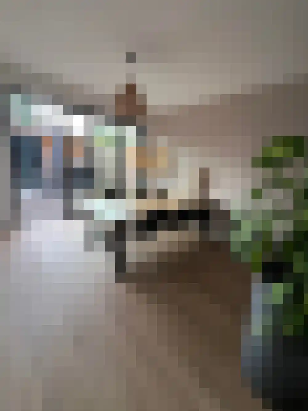 Johan Lesagestraat 1 Middelburg thumbnail 13