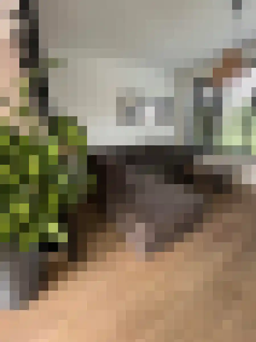 Johan Lesagestraat 1 Middelburg thumbnail 8