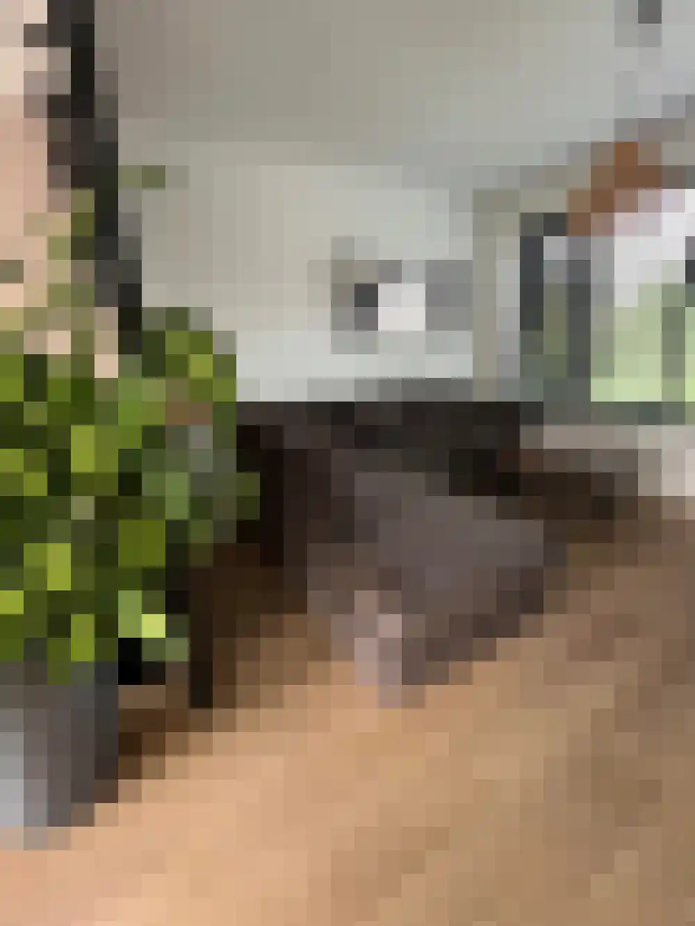 Johan Lesagestraat 1 Middelburg thumbnail 9