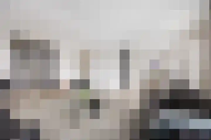 Johan Maelwaelplein 5 Nijmegen thumbnail 10