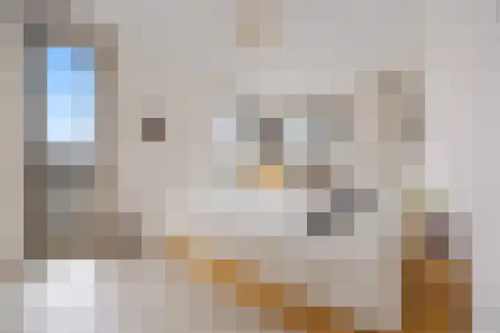 Johan Maelwaelplein 5 Nijmegen thumbnail 17