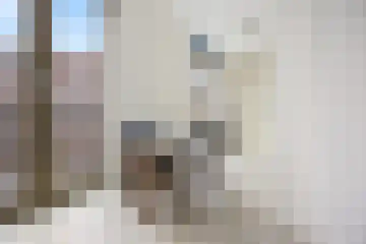 Johan Maelwaelplein 5 Nijmegen thumbnail 31