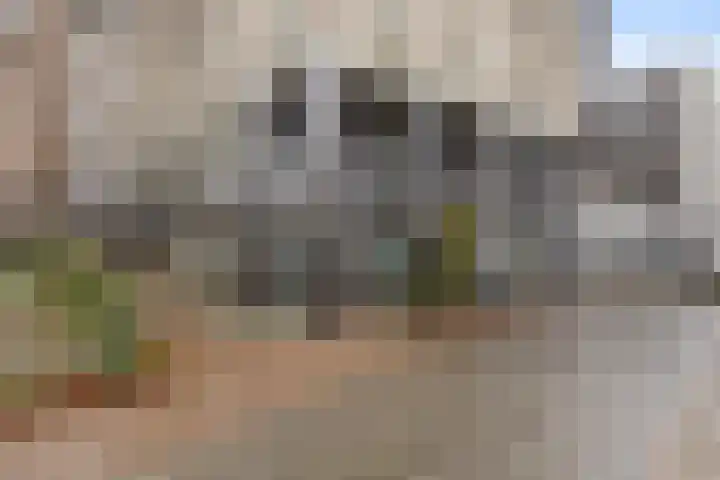 Johan Maelwaelplein 5 Nijmegen thumbnail 4