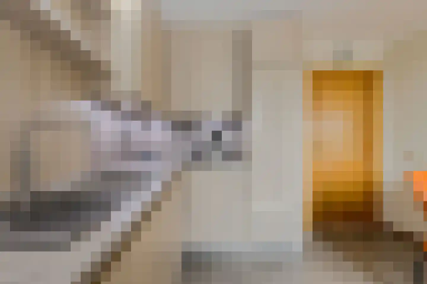 Johan Marijnenboog 26 Breda thumbnail 13