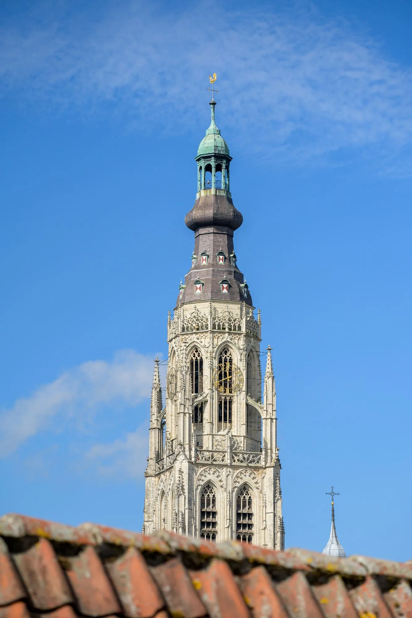 Johan Marijnenboog 8 Breda thumbnail 62