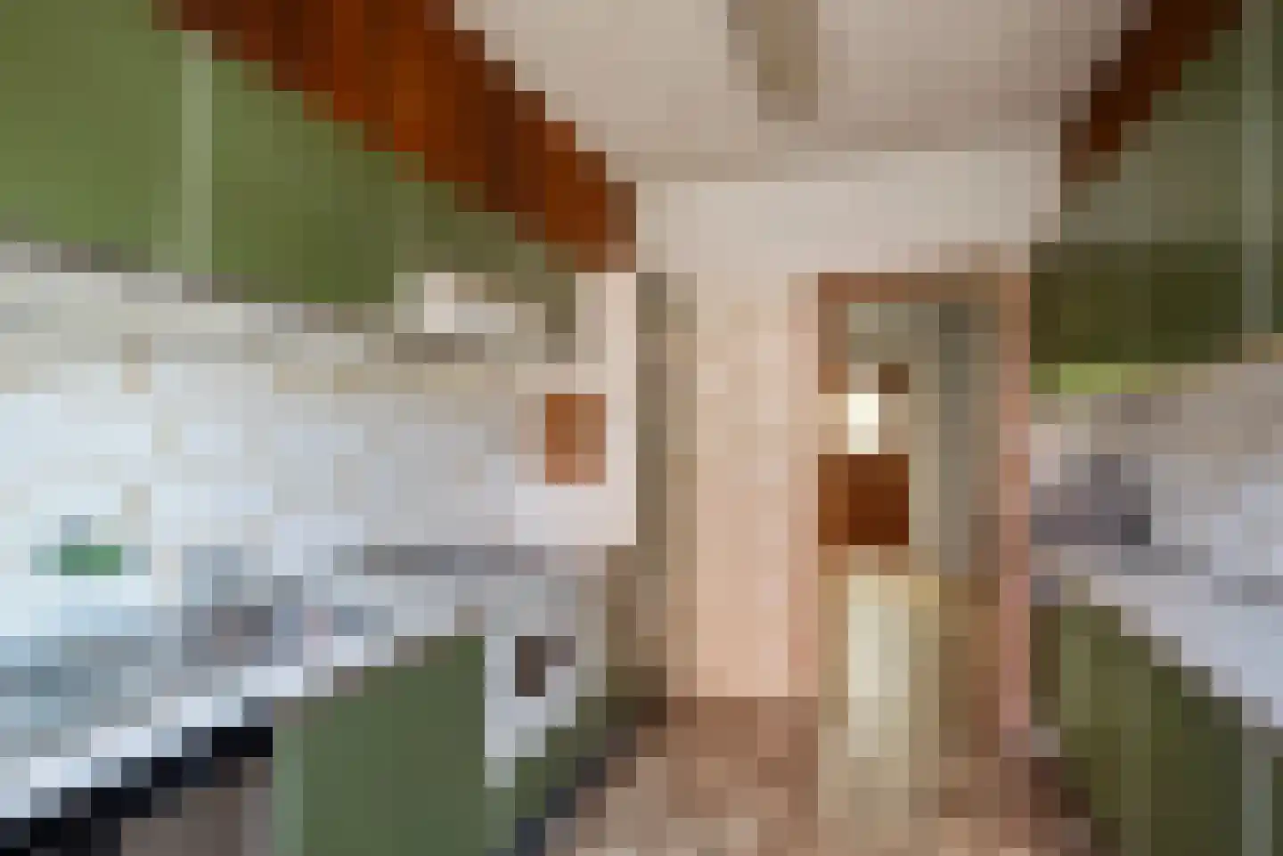 Johan Maurits van Nassaulaan 39 Santpoort-Noord thumbnail 19