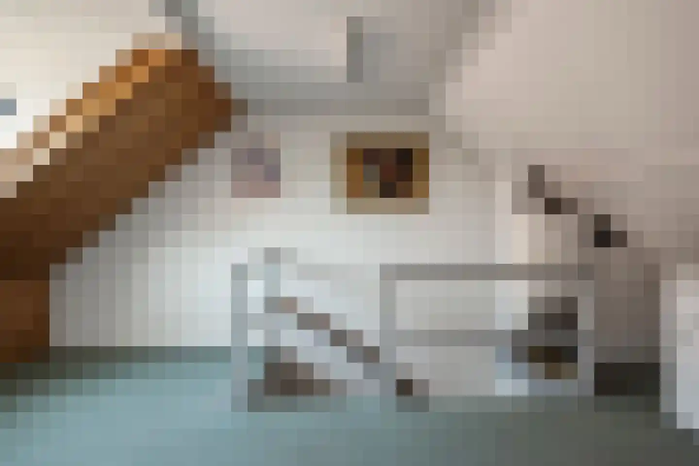 Johan Maurits van Nassaulaan 39 Santpoort-Noord thumbnail 33