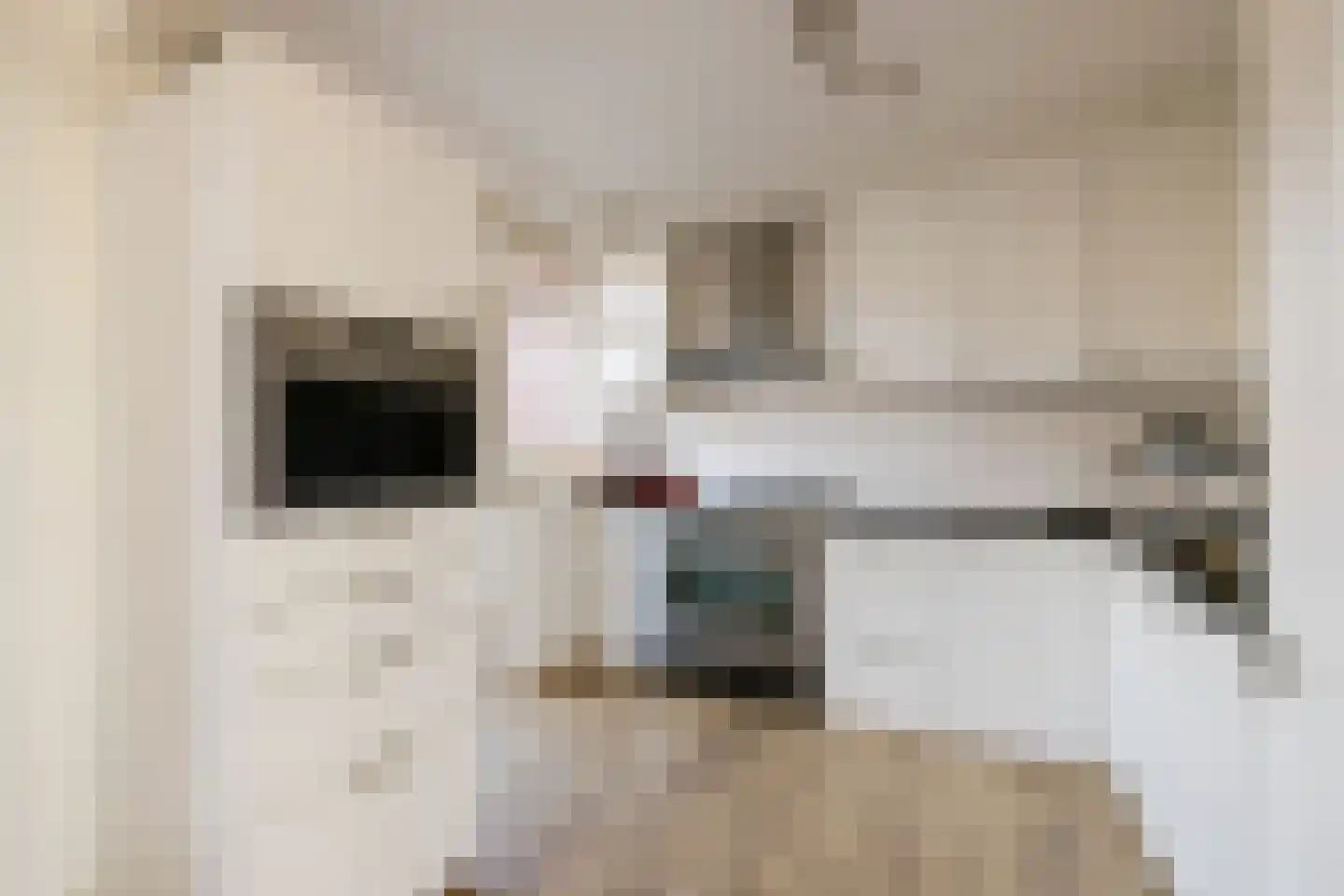 Johan Maurits van Nassaulaan 63 Santpoort-Noord thumbnail 8