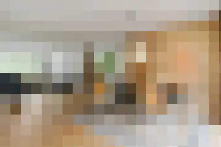 Johan Mekkinkstraat 12 Eindhoven thumbnail 10