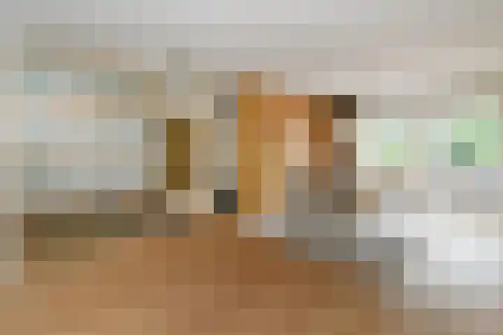 Johan Mekkinkstraat 12 Eindhoven thumbnail 11