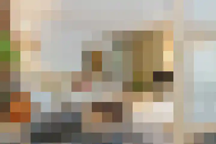Johan Mekkinkstraat 12 Eindhoven thumbnail 12