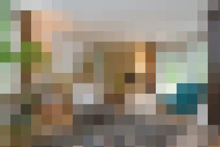 Johan Mekkinkstraat 12 Eindhoven thumbnail 14