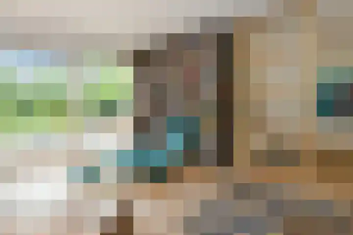 Johan Mekkinkstraat 12 Eindhoven thumbnail 15
